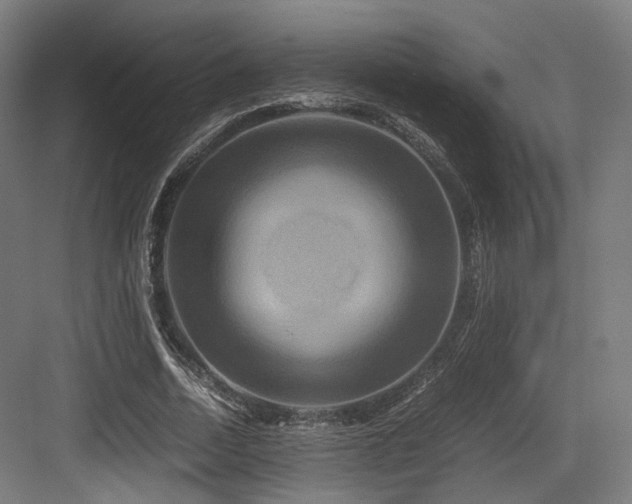 X0000083640730200702121123