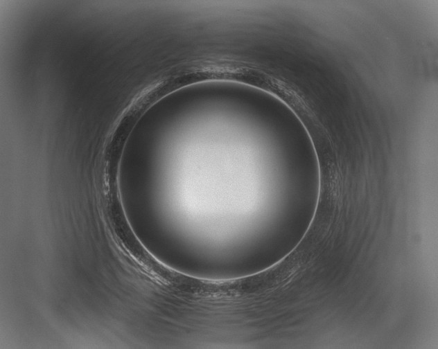 X0000083640731200702121123
