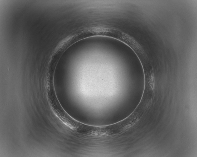 X0000083640732200702121123