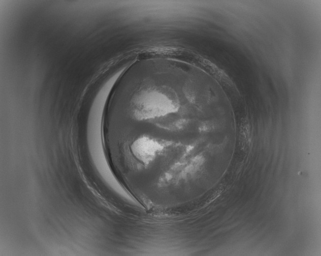 X0000083640734200702121123