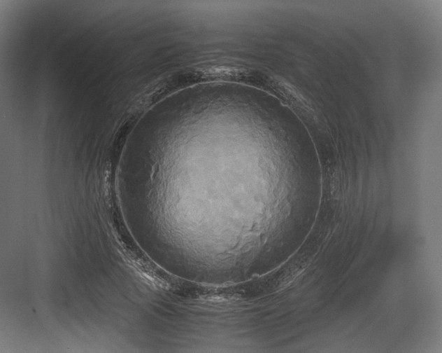 X0000083640737200702121123
