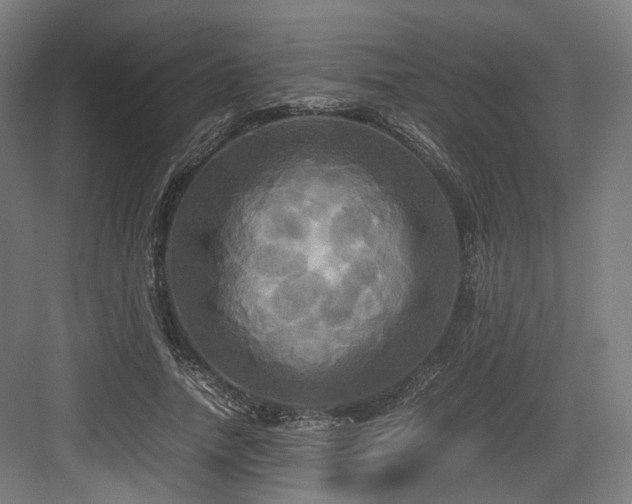 X0000083640738200702121123