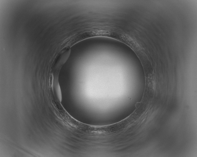 X0000083640741200702121123