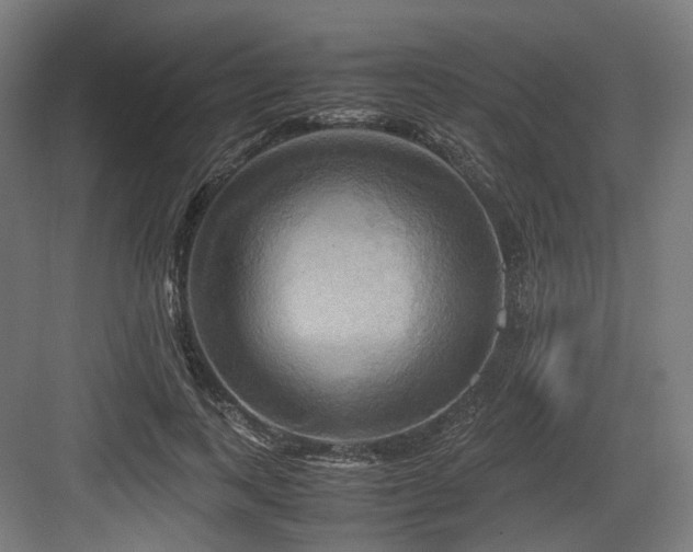 X0000083640743200702121123