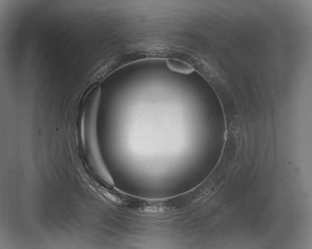 X0000083640744200702121123