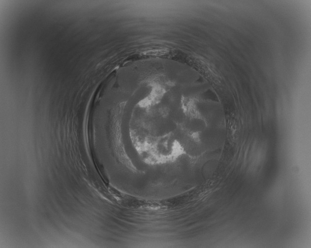 X0000083640745200702121123