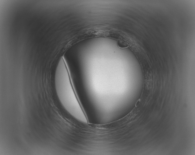 X0000083640748200702121123