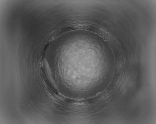 X0000083640749200702121123