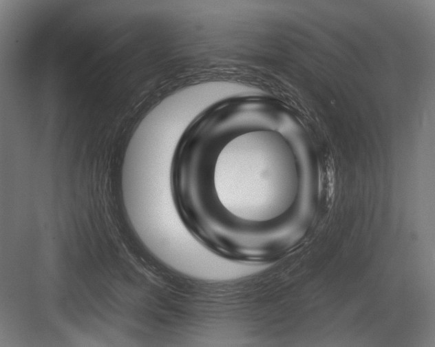 X0000083640750200702121123
