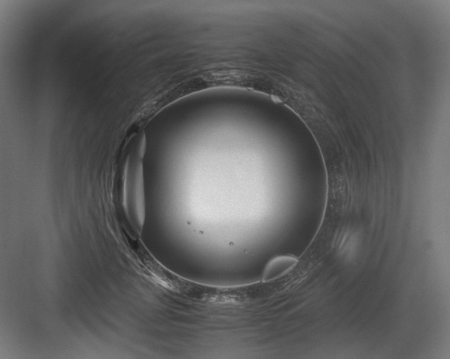 X0000083640751200702121123