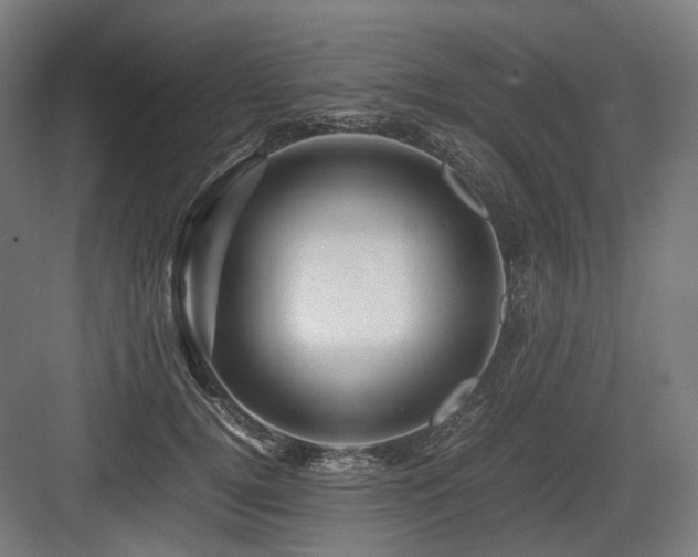 X0000083640752200702121123