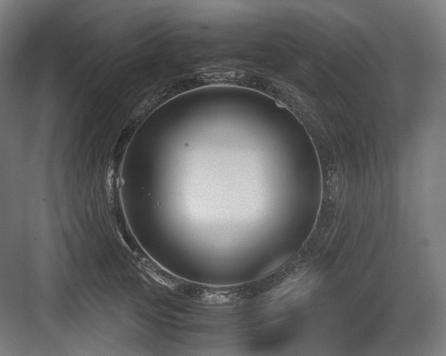 X0000083640753200702121124
