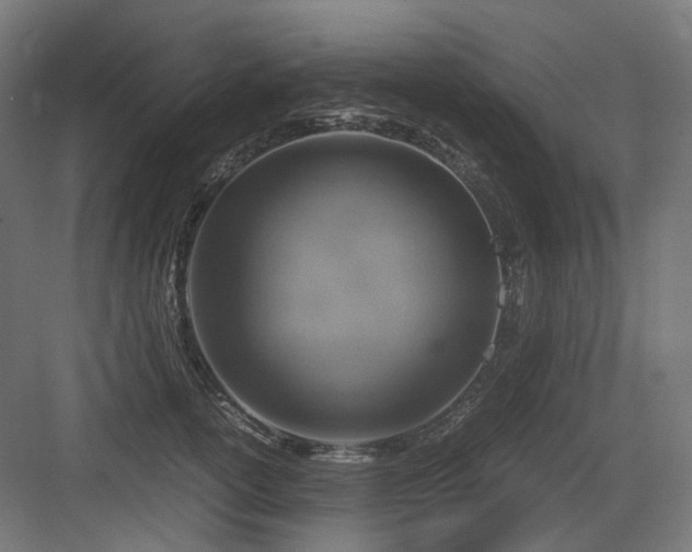 X0000083640754200702121124