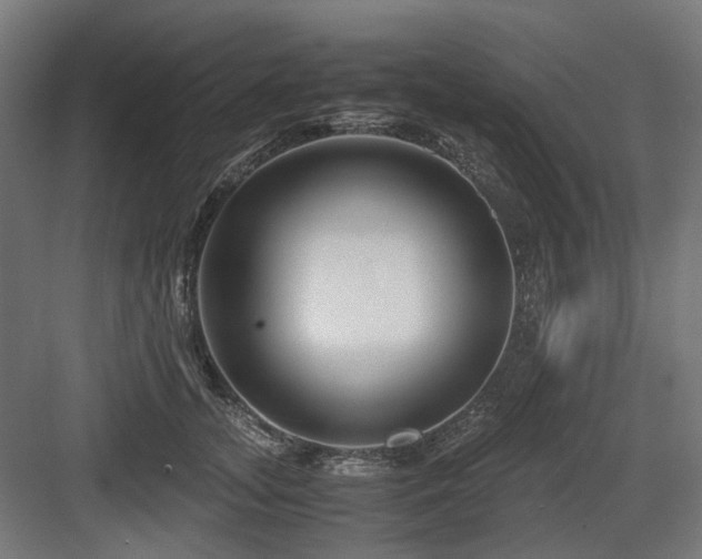 X0000083640755200702121124