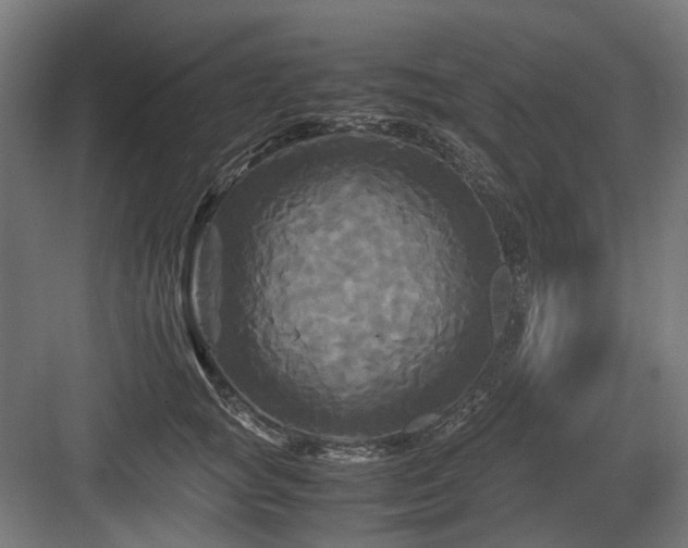 X0000083640757200702121124