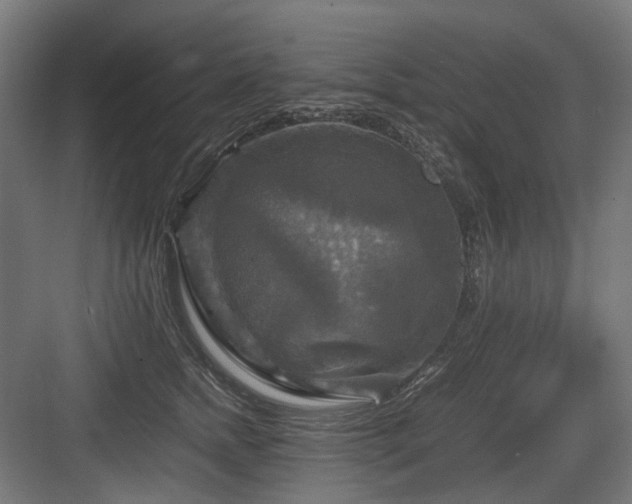 X0000083640758200702121124