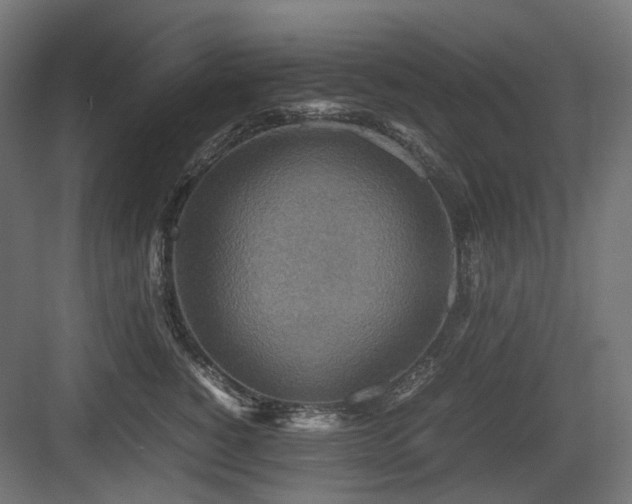 X0000083640760200702121124
