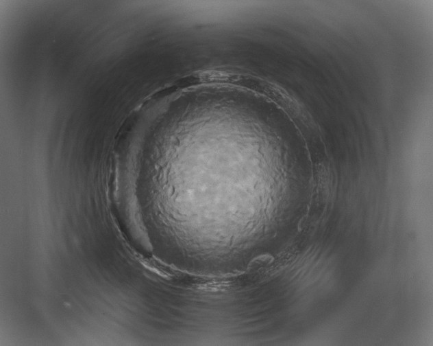 X0000083640761200702121124