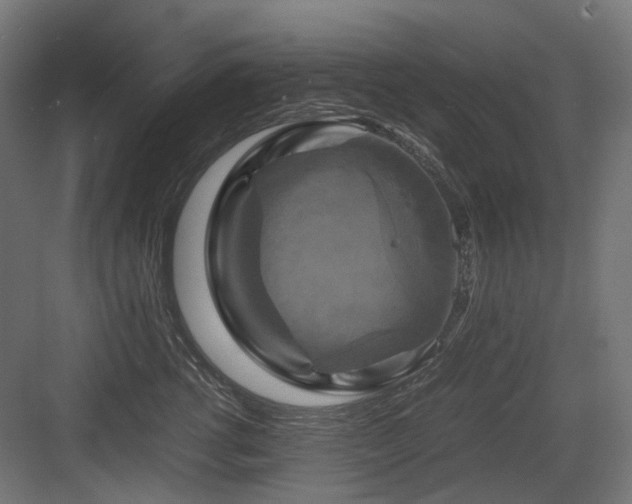 X0000083640762200702121124