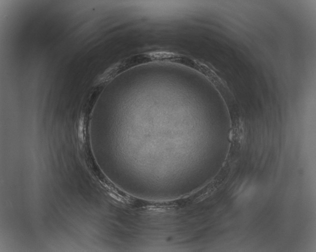 X0000083640763200702121124