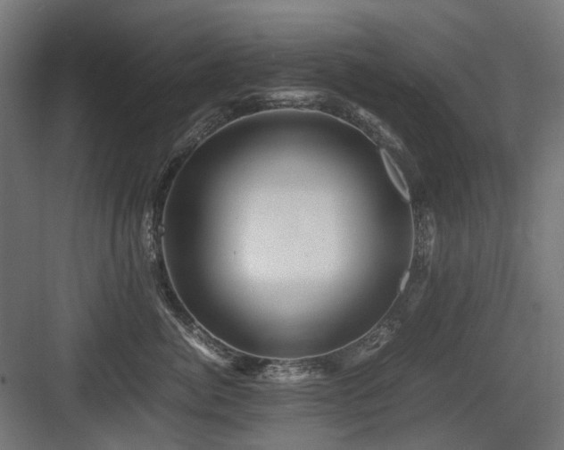 X0000083640764200702121124
