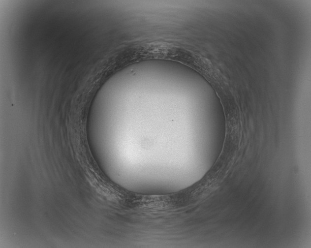 X0000083640769200702121123