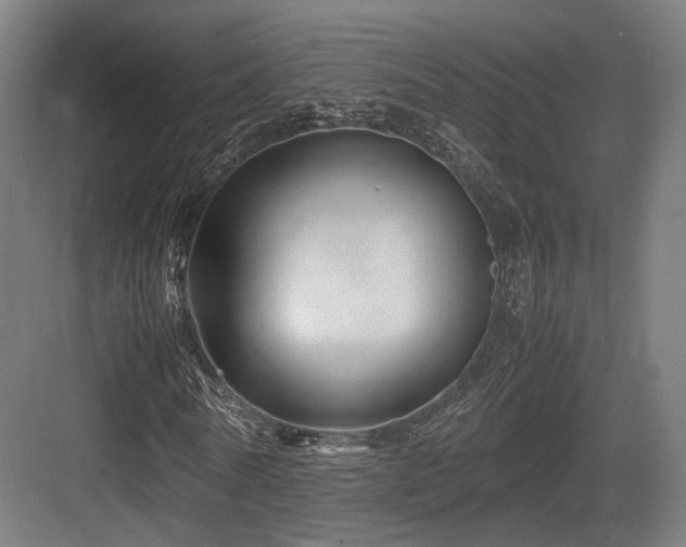 X0000083640770200702121123