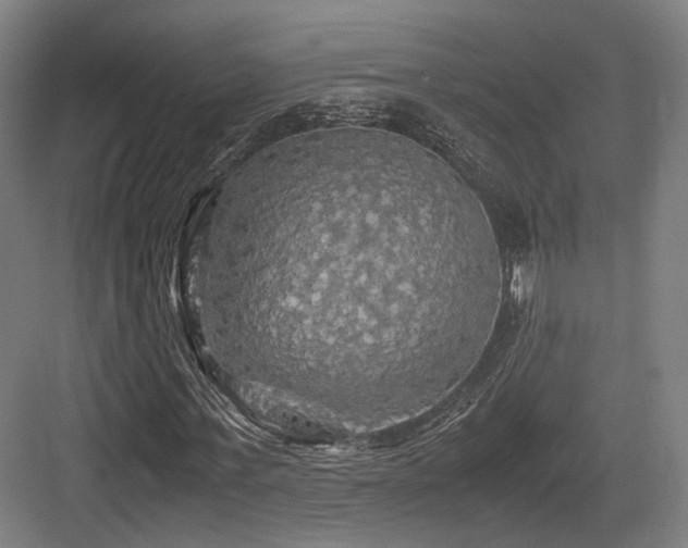 X0000083640771200702121123