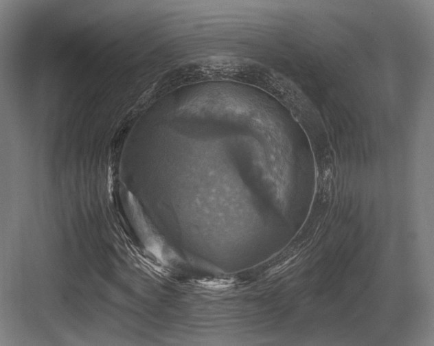 X0000083640772200702121123