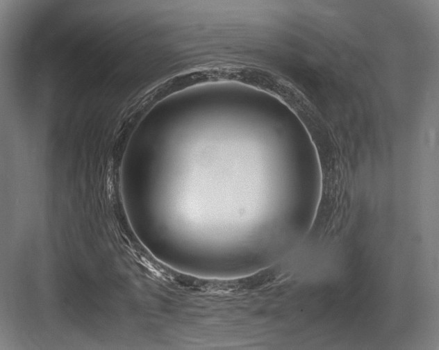 X0000083640773200702121123