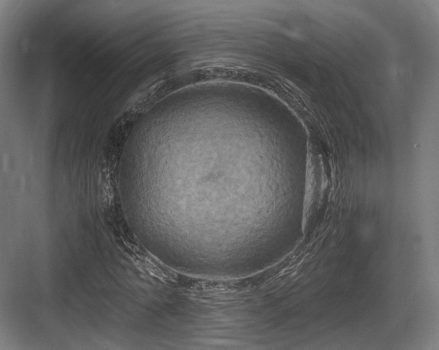 X0000083640774200702121123