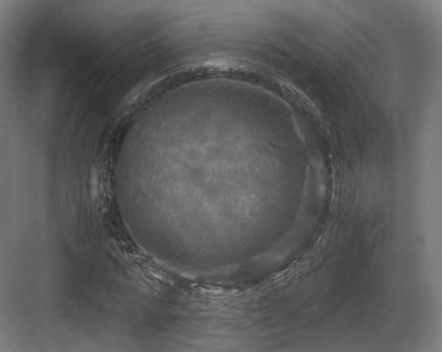X0000083640776200702121123