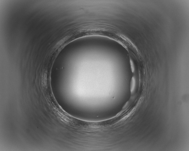 X0000083640777200702121123