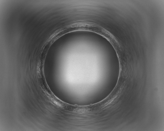 X0000083640778200702121123