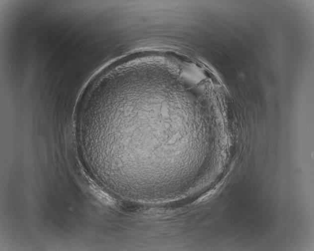 X0000083640779200702121123