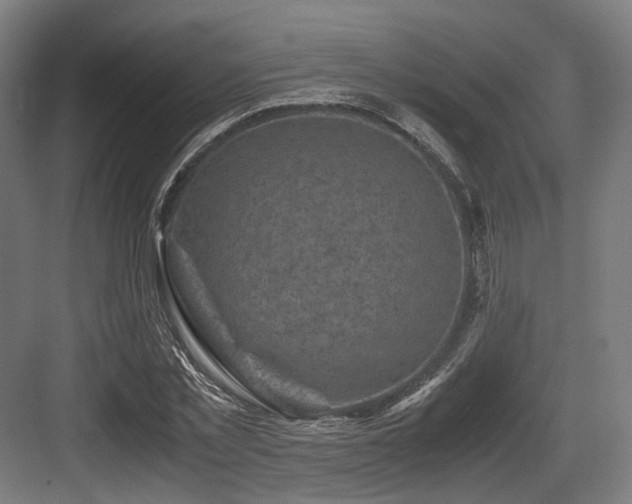 X0000083640781200702121123