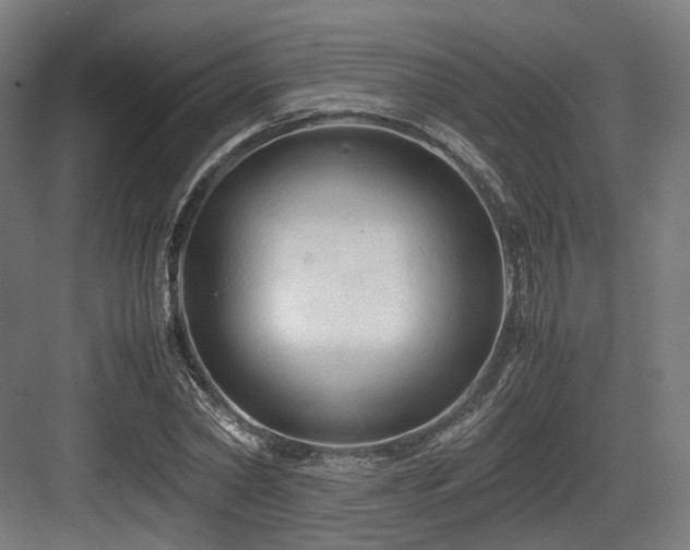 X0000083640782200702121123