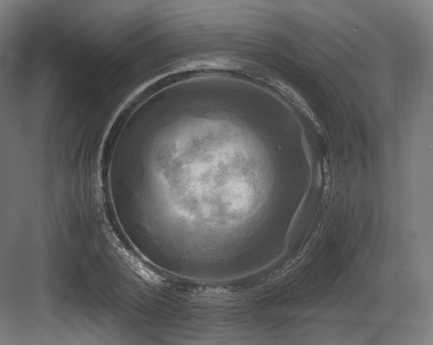 X0000083640784200702121123