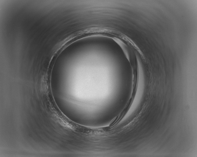 X0000083640786200702121123