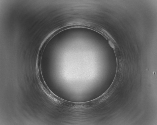 X0000083640788200702121123