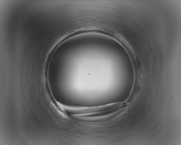 X0000083640789200702121123