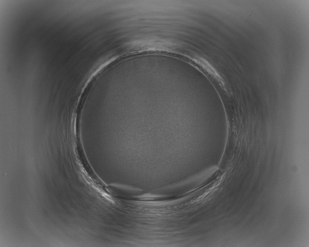 X0000083640790200702121123