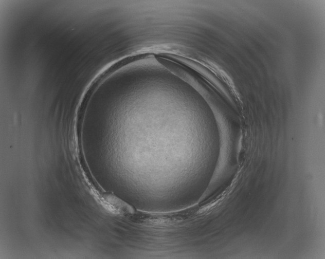 X0000083640792200702121123