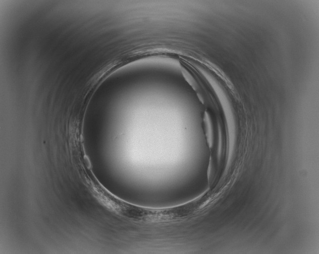 X0000083640793200702121123