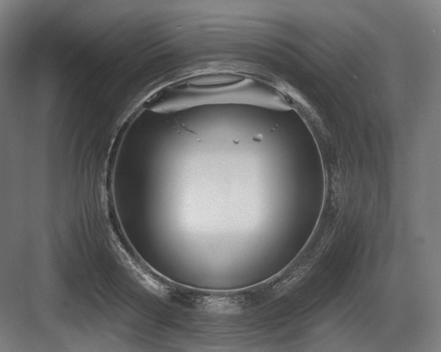 X0000083640794200702121123