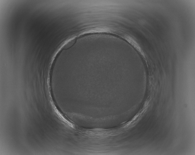 X0000083640797200702121122