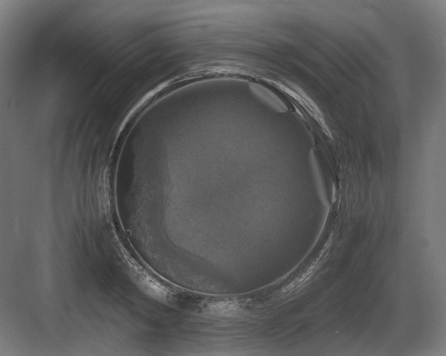 X0000083640798200702121122