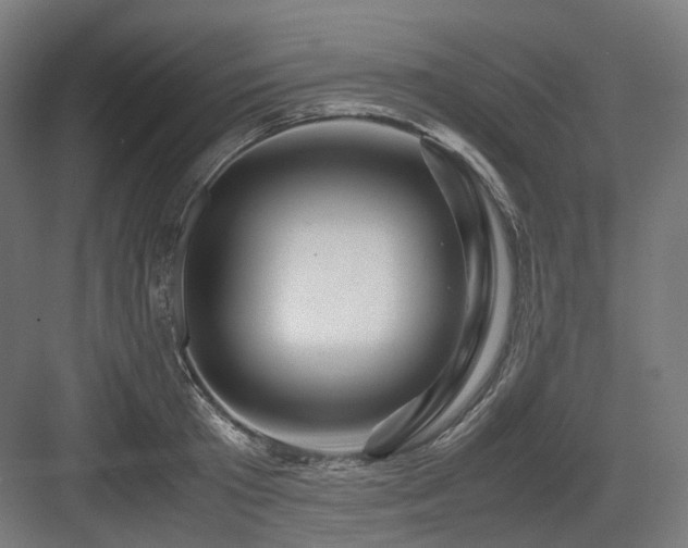 X0000083640801200702121122