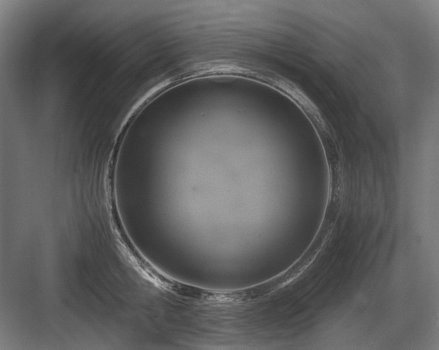 X0000083640806200702121122