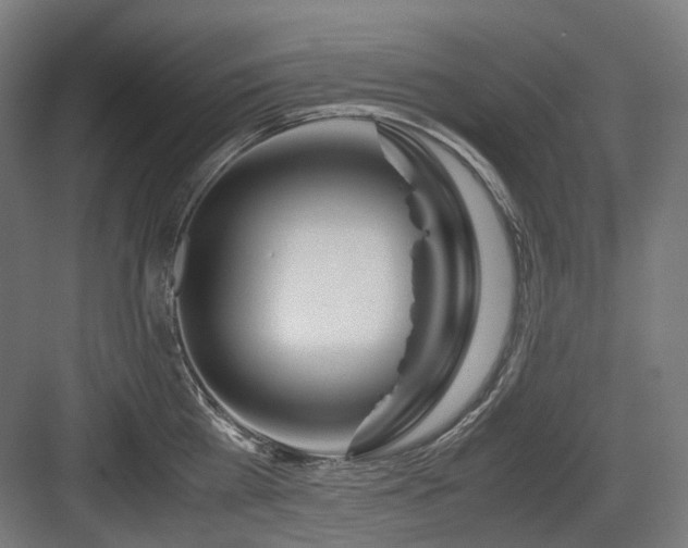 X0000083640809200702121122